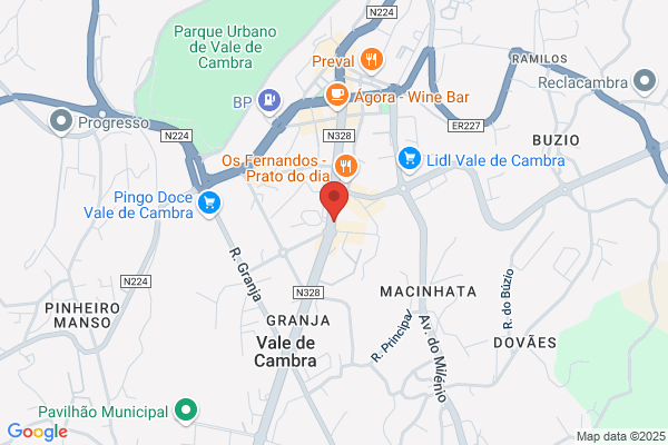 A Voz De Cambra