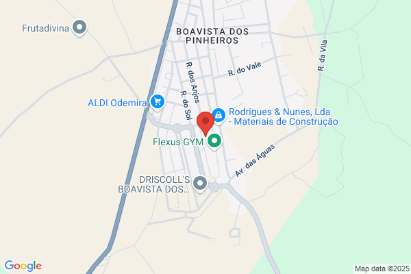 Ilio Fragoso & Filhos Lda