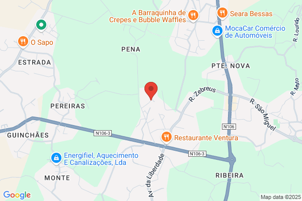 Domingos Da Silva Barbosa & Filhos. Lda