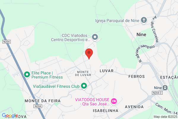 S G N-Sociedade De Gelatinas Do Norte. sa