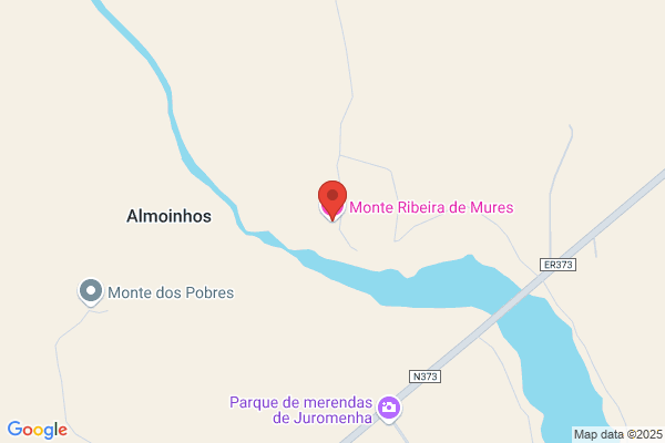 Joàjosesteves
