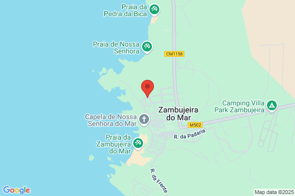 Anto F Rosa Silva