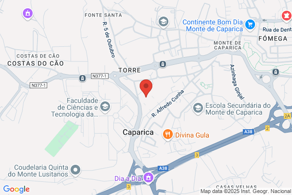 Copimonte - Consultoria e Serviços em Gestão e Informática, Lda.