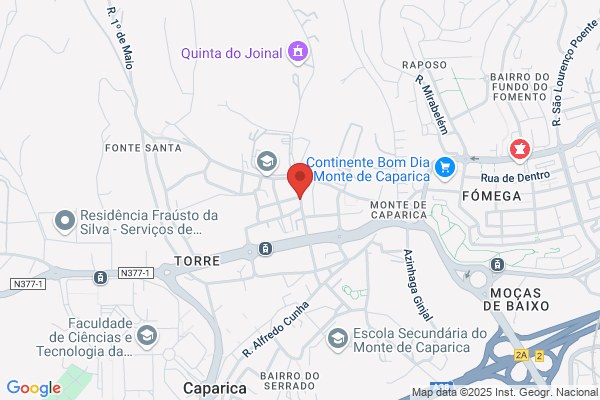 Imagens Obrigatarias-Animaiao E Computaiao Grafica. Lda