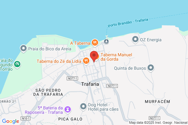 M Leonor Marques Almeida