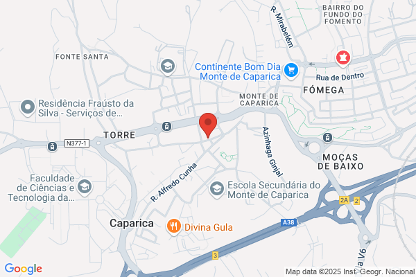 Maria C G Carvalho Ferreira