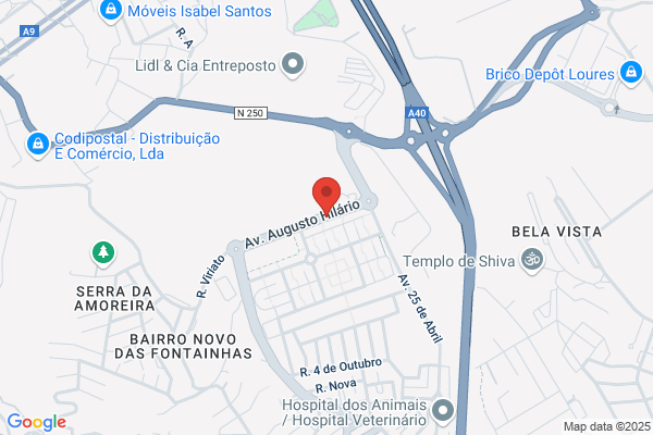 Maria I Gonçalves Barrias