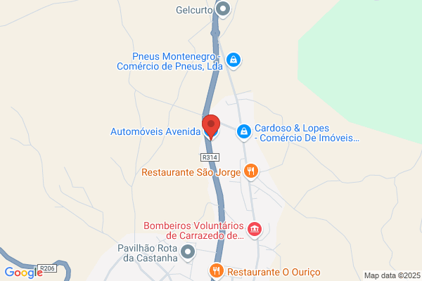 Auto Avenida