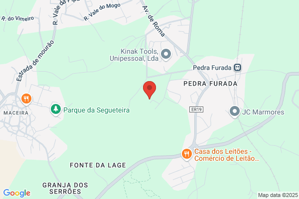 Rute Duarte