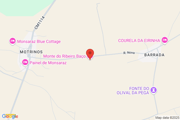 Maria D Monterio Ribeiro