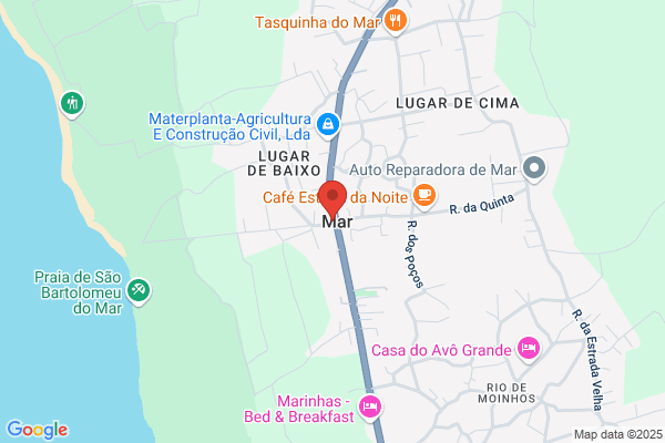 Paula Virgenia Silva Couto