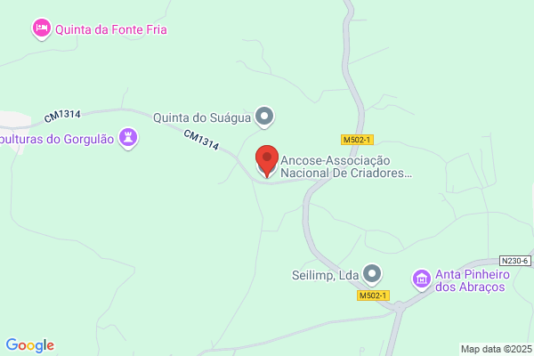 Ancorme-Associaï Nacional De Criadores De Ovinos E ra`merina