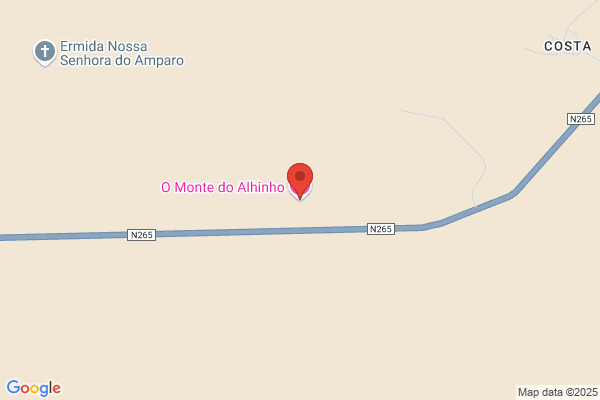 Anto M Fialho Veróimo