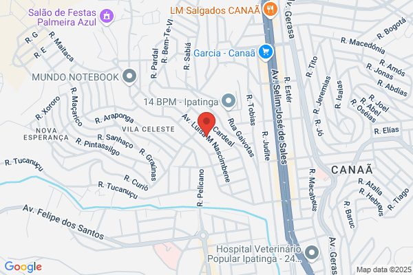 Papelaria Celeste Livraria