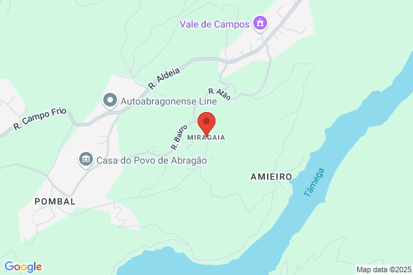 Adao Antanio Mendes Salgado & Antanio Mesquita ribeiro