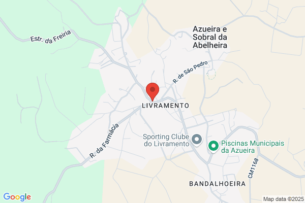 Zeferino Martins