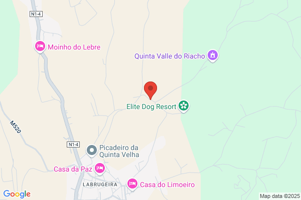 Maria E Godinho Encarnao