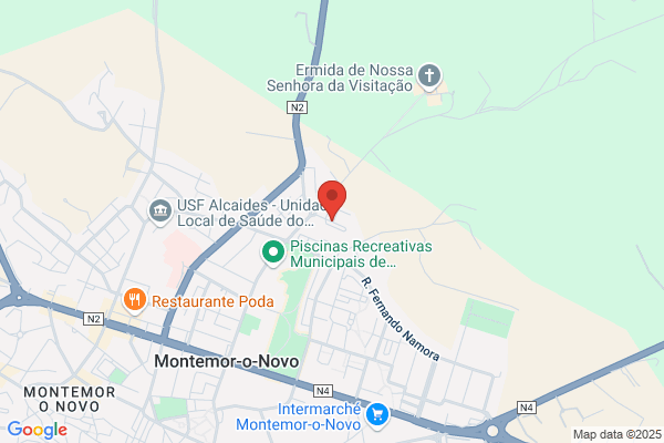 Domingos Nunes