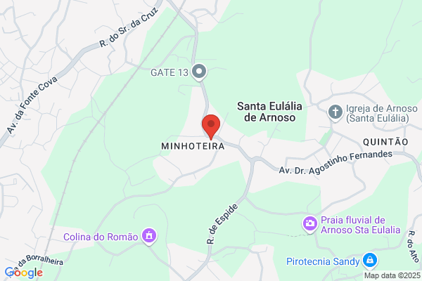 Ana M M Pereira Jesus