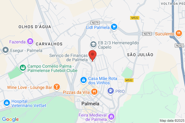 Servifinança-Gestão De Activos & Financiamentos-Palmela