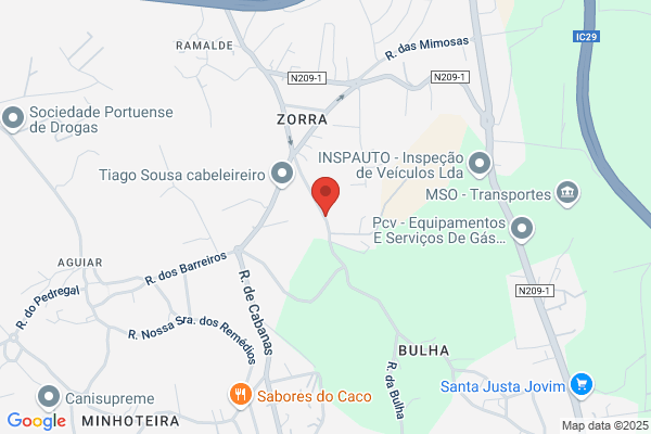 Domingos Cardoso V Novais