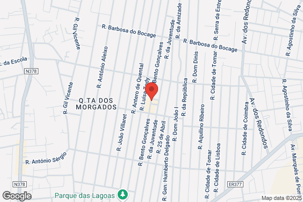 Maria F M B Tavares Figueiredo