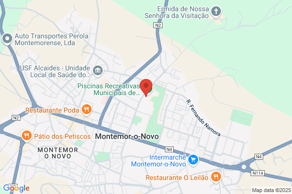 Sónia M R Alves Ângelo