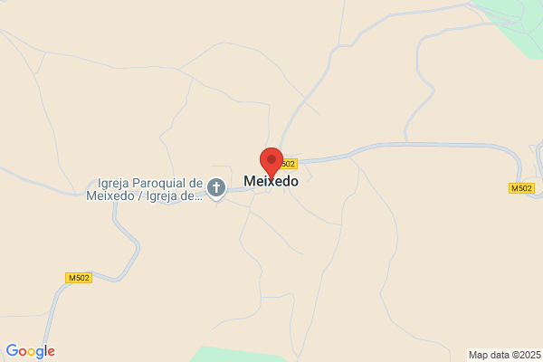 Alberto De Sa Martins Meixedo