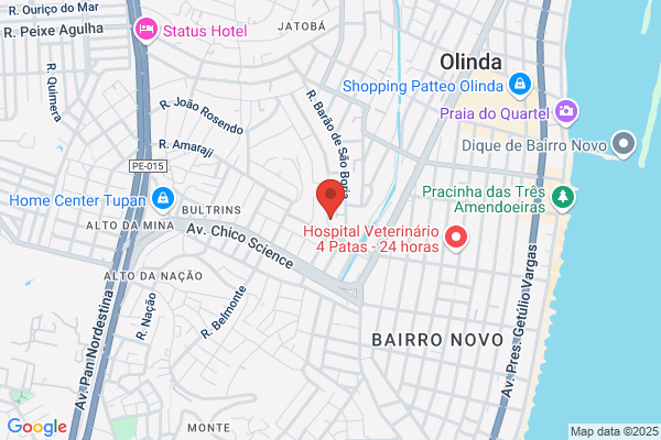 Olinda Andrade F Oliveira