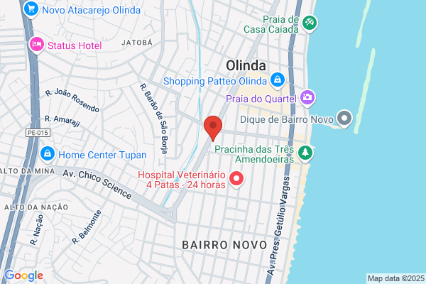 Olinda M Teixeira Marques