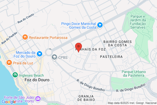 Maria C P Cunha Marques
