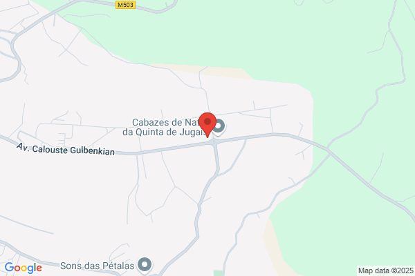 Geraï Semente Lda