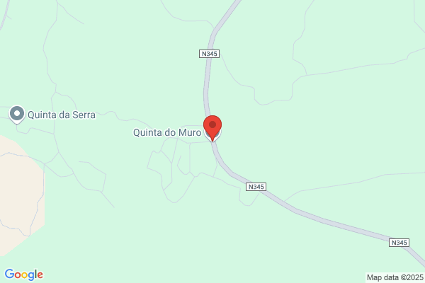 Manuel A Fernandes Maia