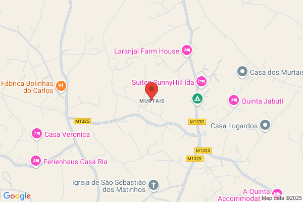 F Salvador Gonialves. Lda