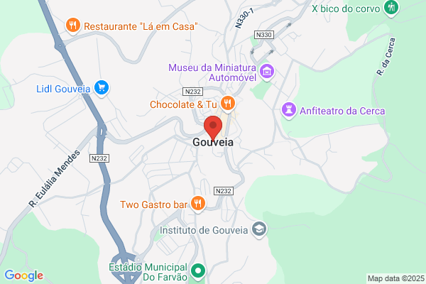 Gouveia Da Costa