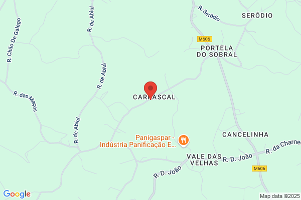 Edviges M M Barrambana Caeiro