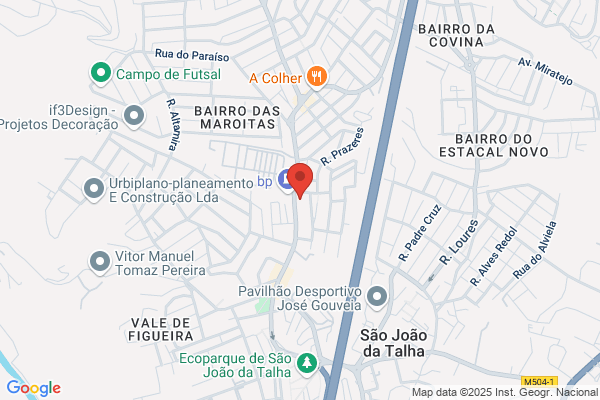 Maria L Tavares Lopes