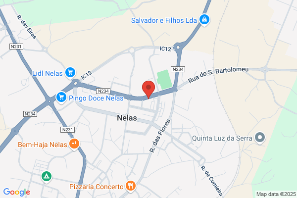 Hotel Nelas Parq