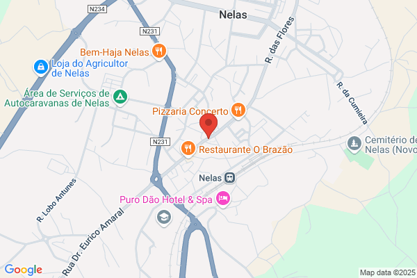 Maria H Ramos Monteiro