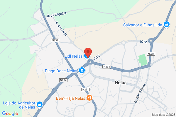 Rute M Ferreira Marques