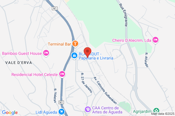 Cristina M Ribeiro Vasconcelos