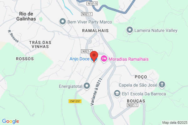 Purificação J V Ferraz Monteiro
