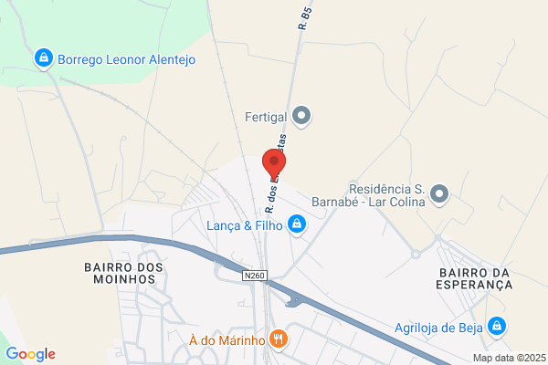 Manuel A Palma Franco