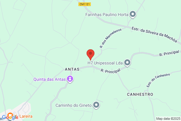 Abel B M Almeida Carvalhais