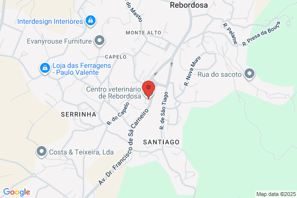 Clínica Veterinária De Rebordelo Lda