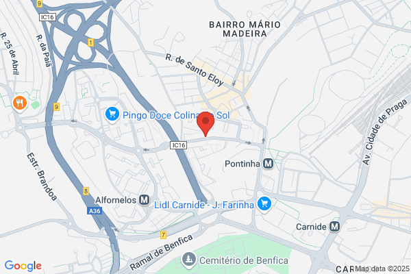 Ducelina F Monte Pereira
