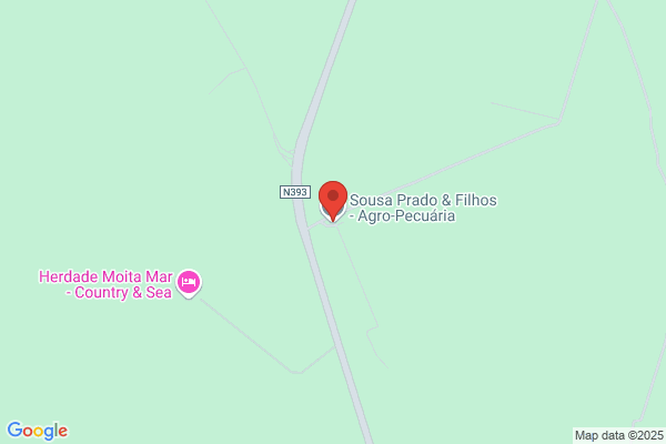 Alzirino L Cruz Rosado