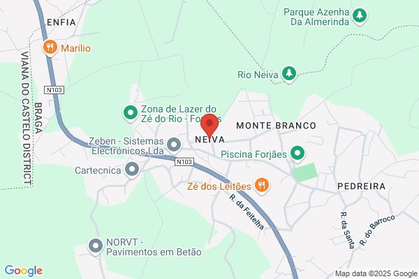 Lvaro F Neiva Ribeiro
