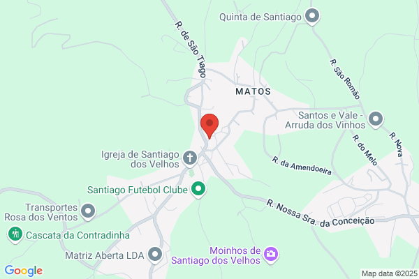 Manuel Martins Santiago & Filho. Lda