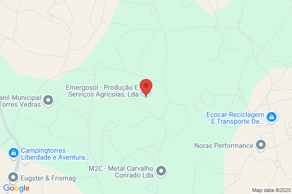 Serviços Agrícolas Lda,t D M